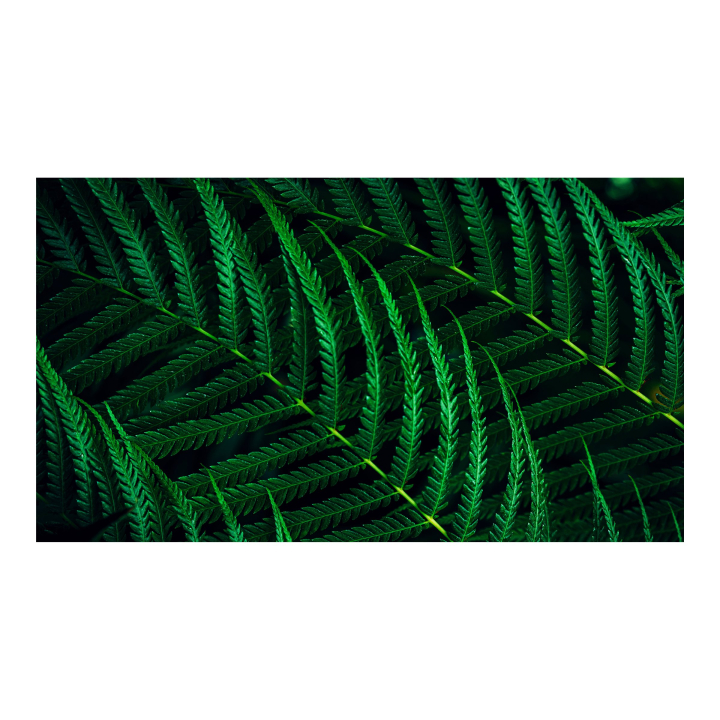 Product shot Close-up