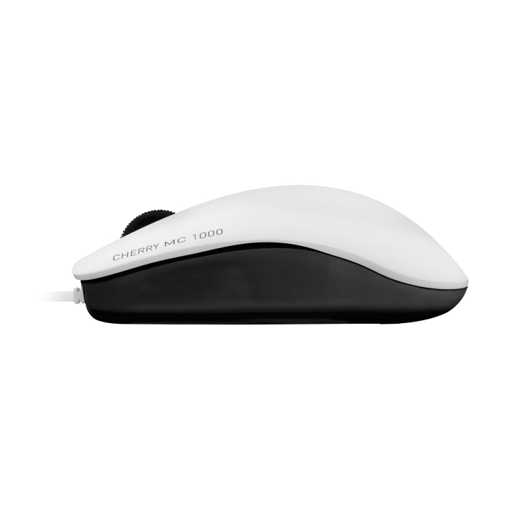 Product shot Right side