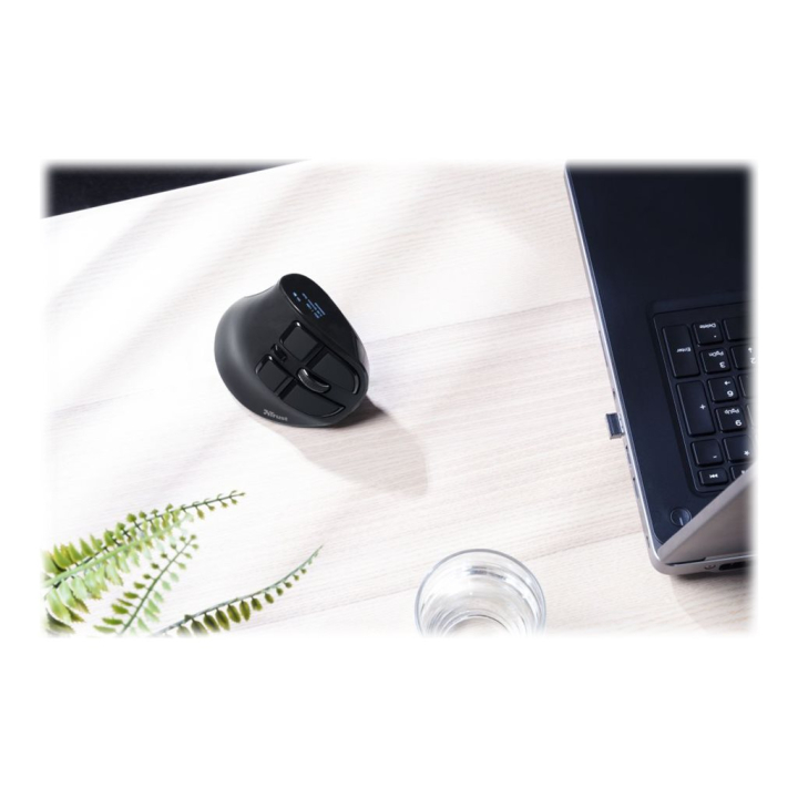 Usage / lifestyle Back