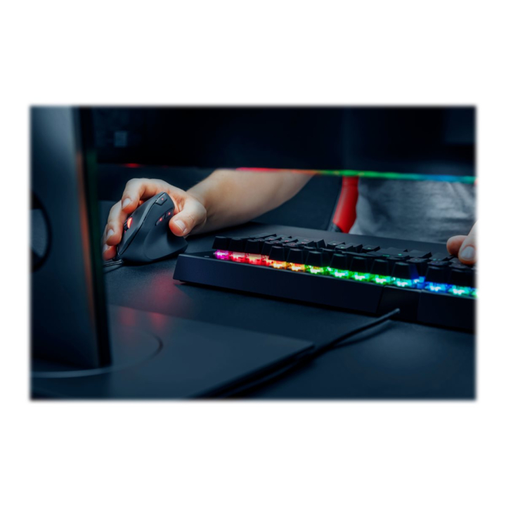 Usage / lifestyle Back