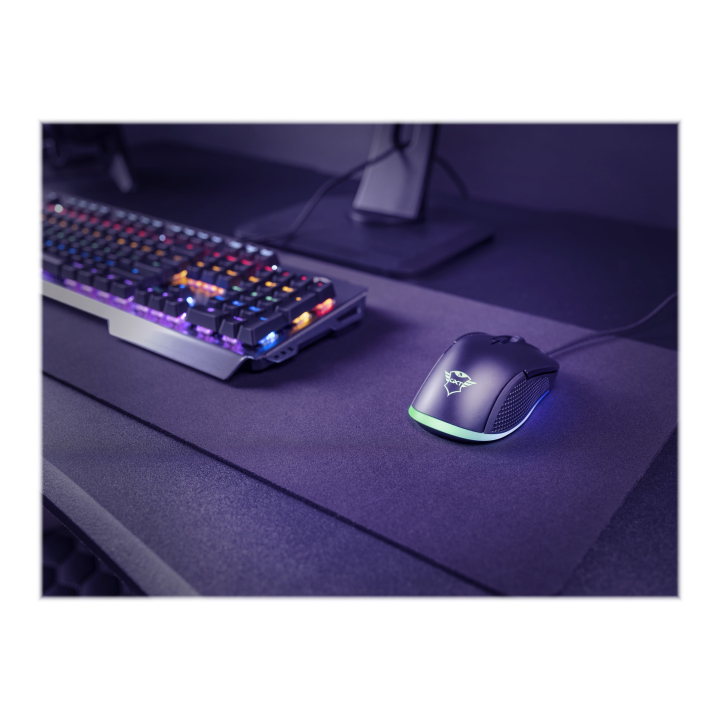 Usage / lifestyle Left side