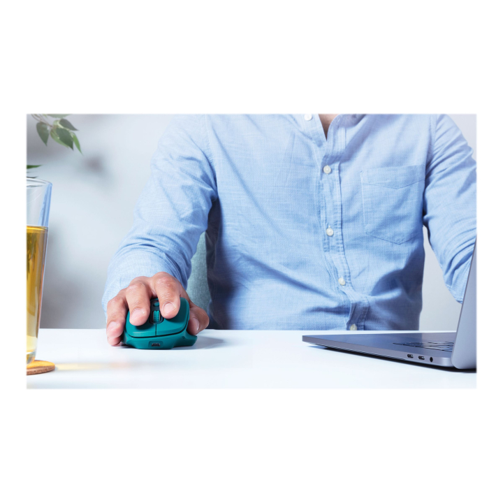 Usage / lifestyle Back