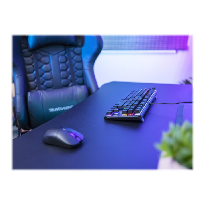 Usage / lifestyle Back