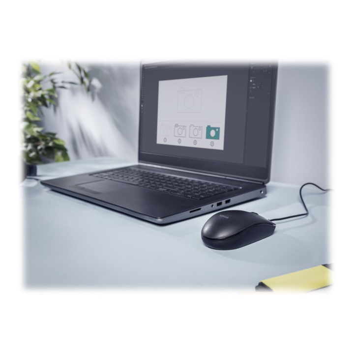 Usage / lifestyle Back