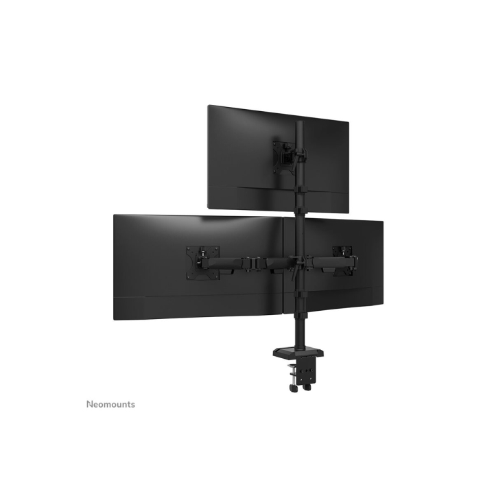 Product shot Back