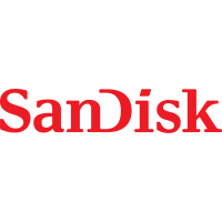 SANDISK PROFESSIONAL